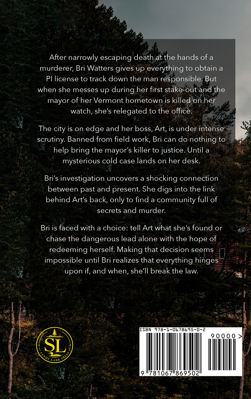 Whatever It Takes — back cover synopsis